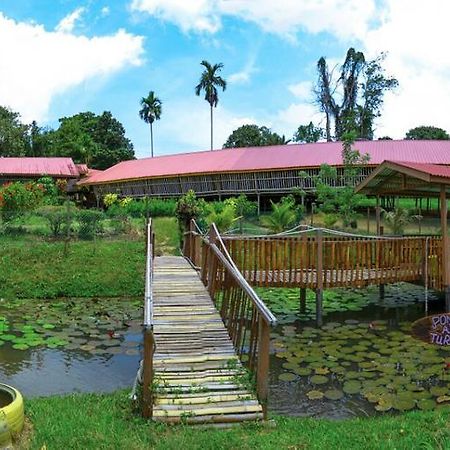 Sabah Tea Garden-Longhouses Ranau Buitenkant foto