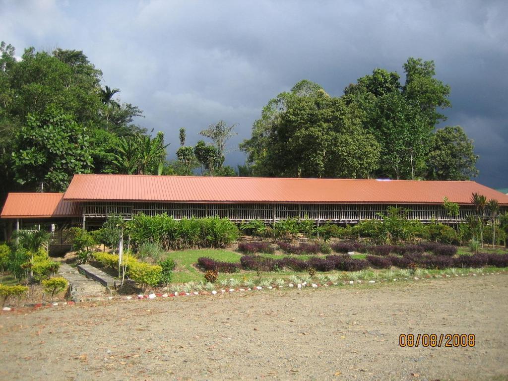 Sabah Tea Garden-Longhouses Ranau Buitenkant foto