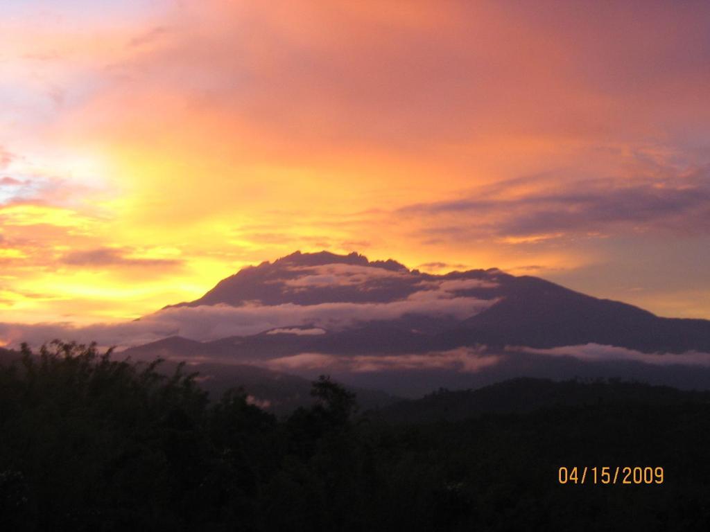 Sabah Tea Garden-Longhouses Ranau Buitenkant foto