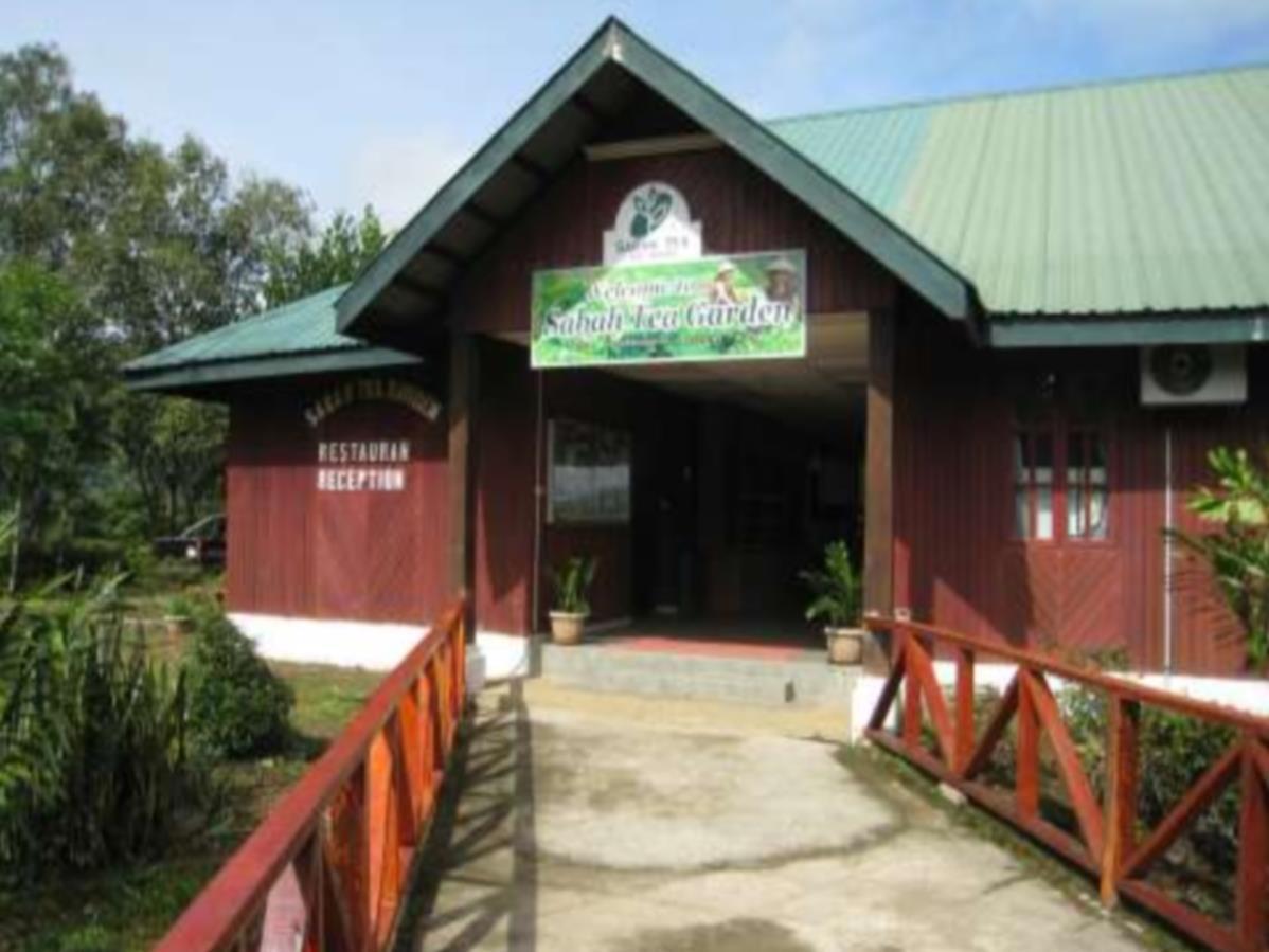 Sabah Tea Garden-Longhouses Ranau Buitenkant foto