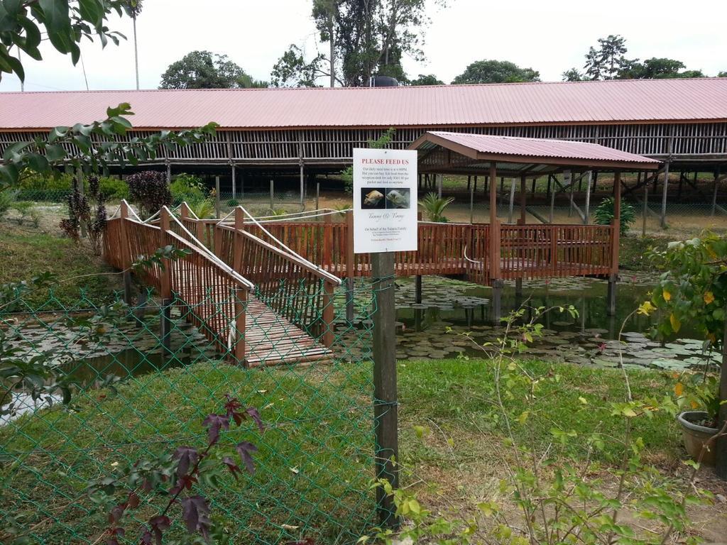 Sabah Tea Garden-Longhouses Ranau Buitenkant foto
