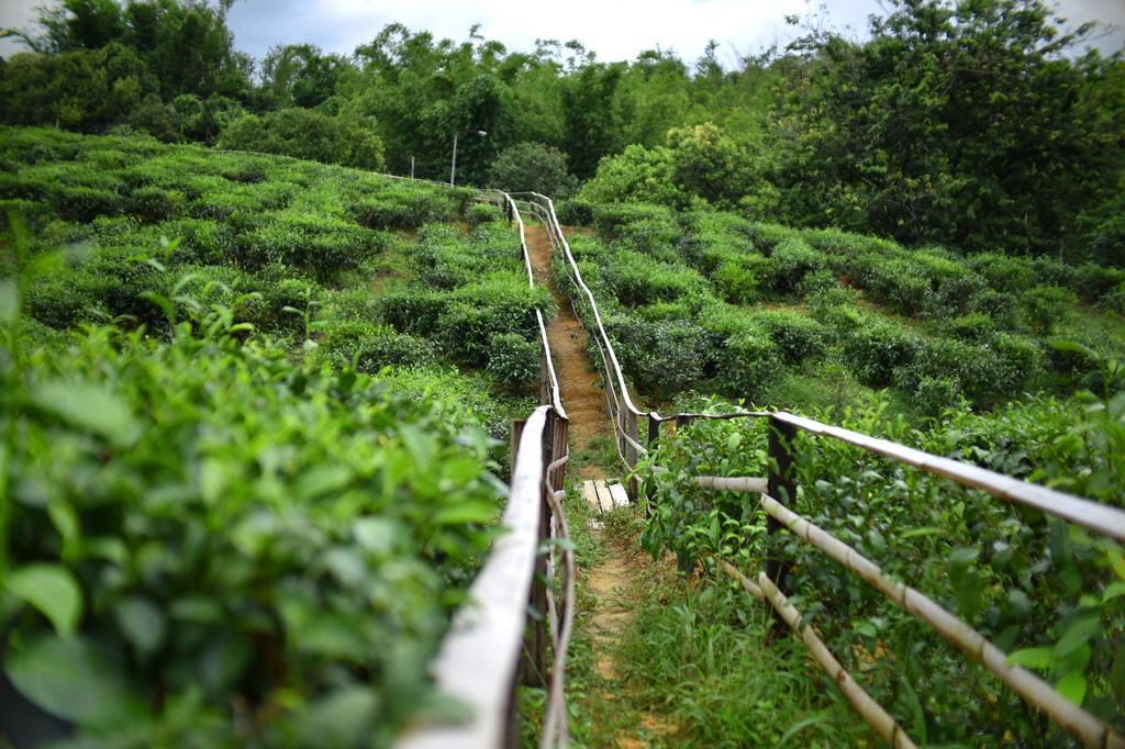 Sabah Tea Garden-Longhouses Ranau Buitenkant foto